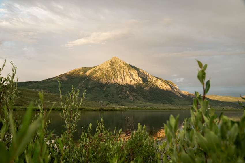 Mountain with plants in foreground